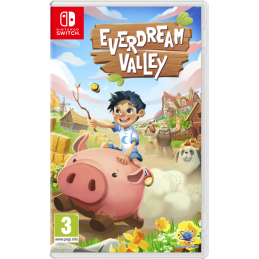 EVERDREAM VALLEY SWITCH
