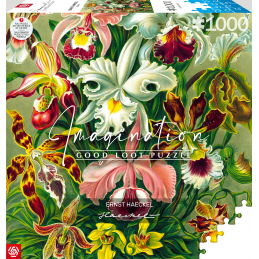 PUZZLE: ERNST HAECKEL...