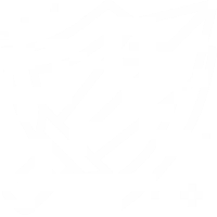 RPG