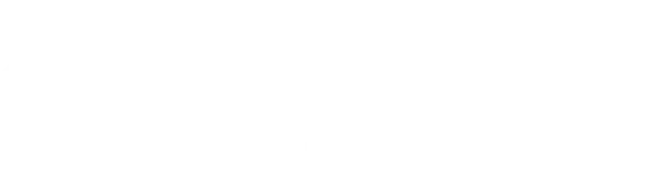 FOCUS ENTERTAINMENT